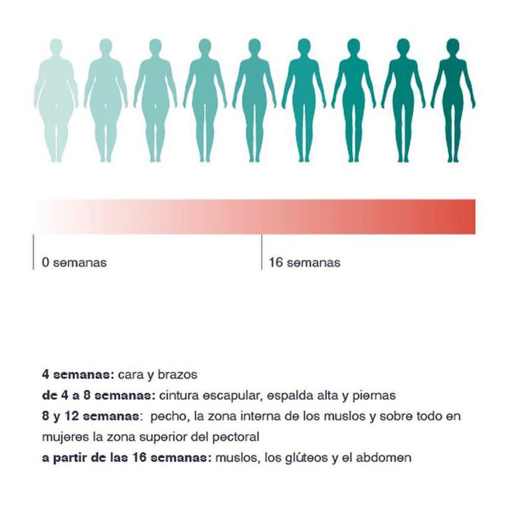 remodelacion-corporal-velocidad-a-cual-pierde-grasa-el-cuerpo-2